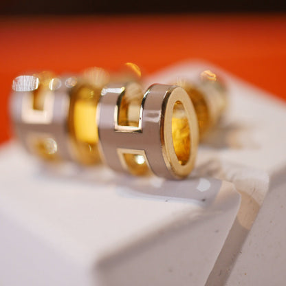 [⭐Veyra]MINI POP H GOLD EARRINGS GREY